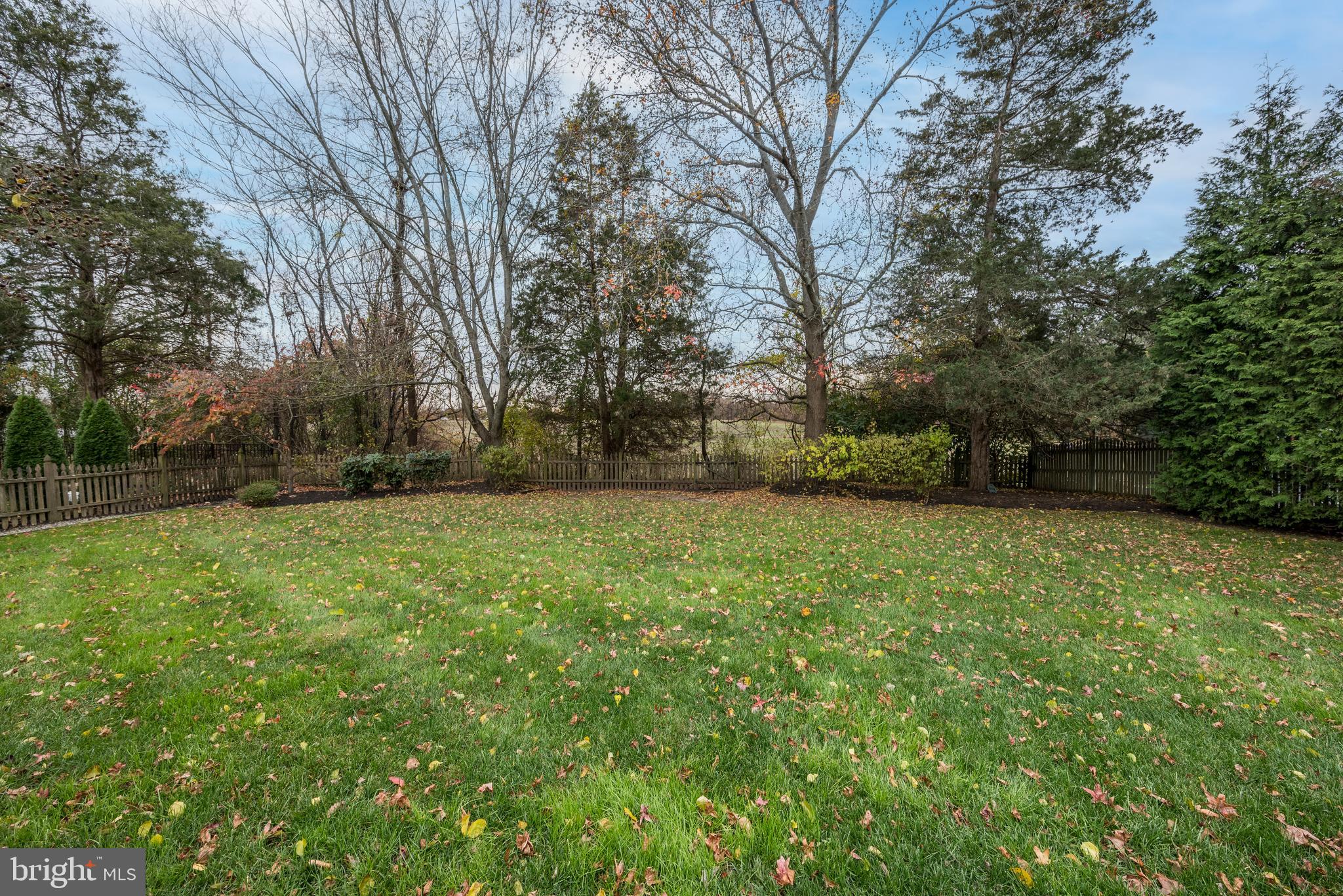 9 Swift Court Medford, NJ 08055 - Photo 45 of 54 a view of yard with green space