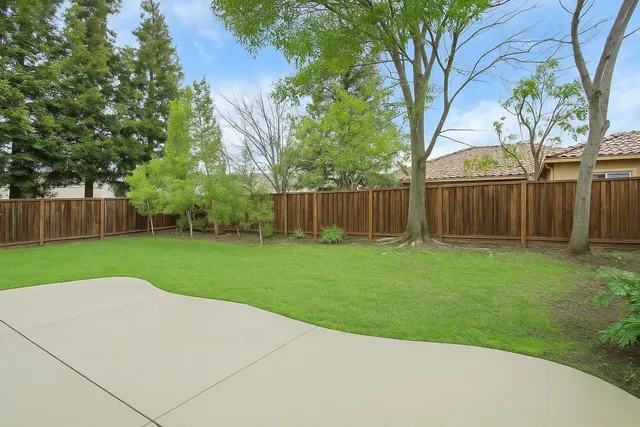 a view of a backyard with large trees and wooden fence