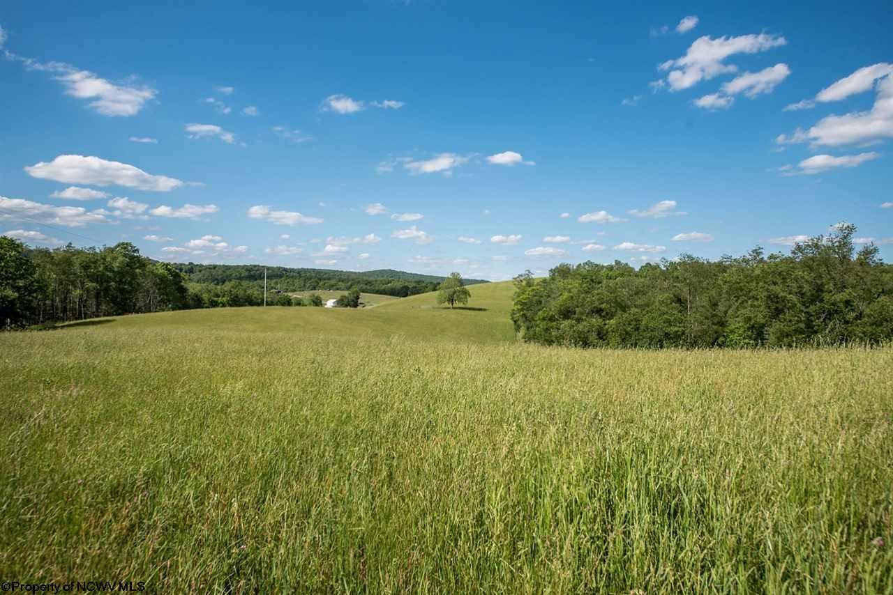 Tbd Tanner Siding Road Terra Alta, WV 26764 - Photo 15 of 16 Gallery Image 15