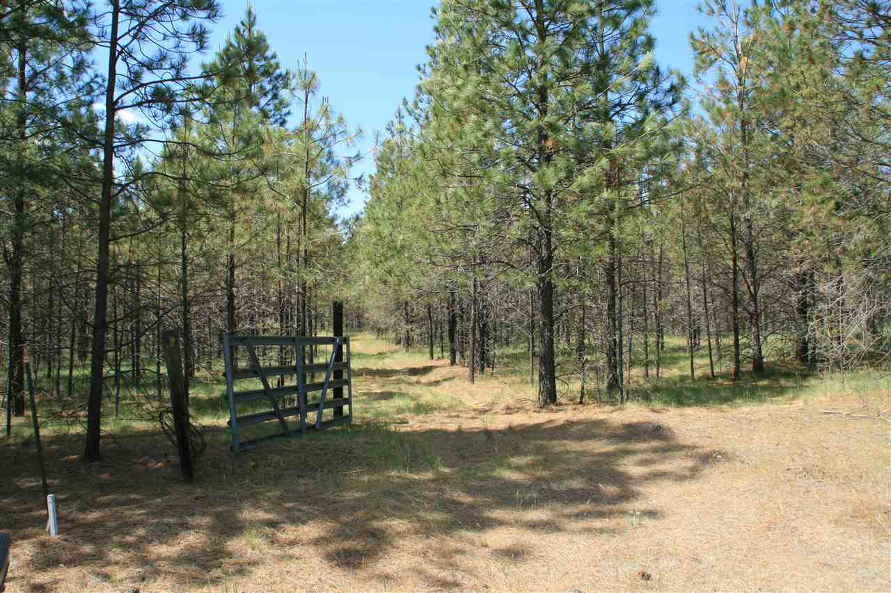 Lot 22-21 North Bruce Road Chattaroy, WA 99003 - Photo 7 of 7 Gallery Image 7
