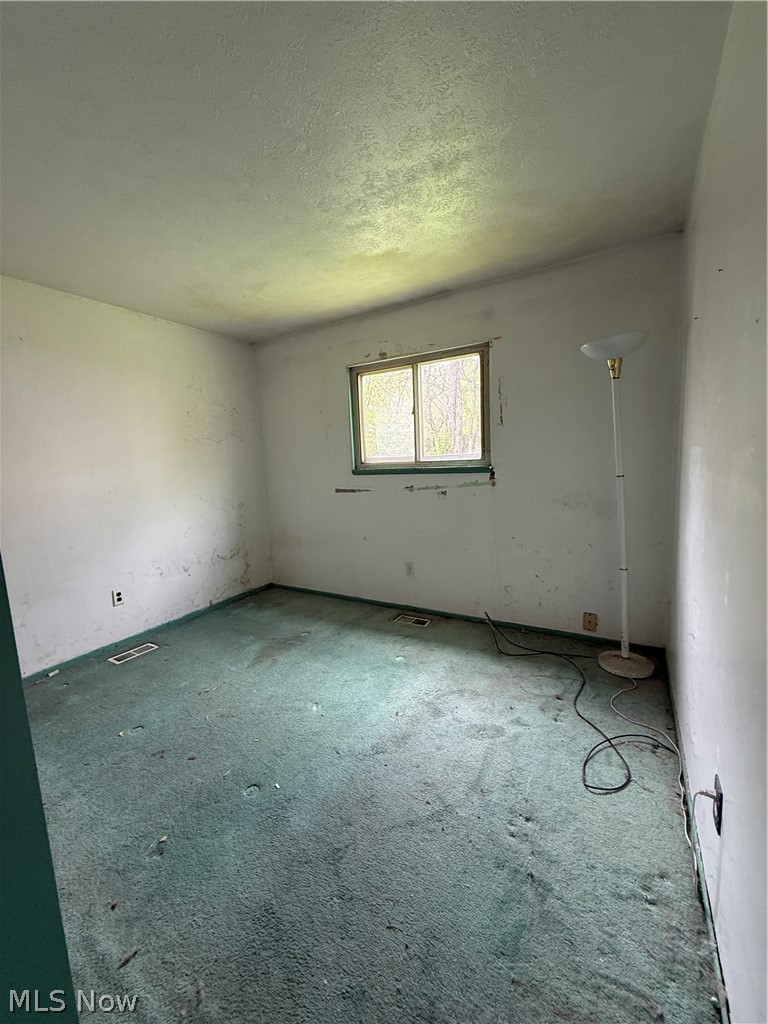 7004 Roe Boulevard Madison, OH 44057 - Photo 11 of 13
