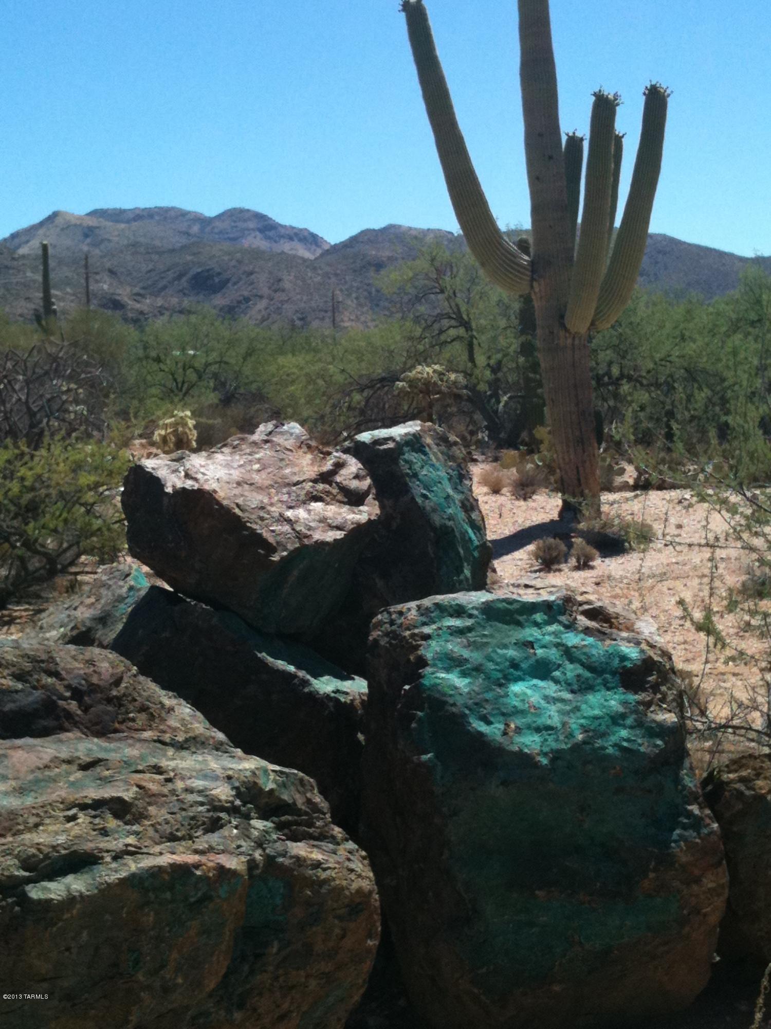Prince Road, Unit A Tucson, AZ 85749 - Photo 10 of 16