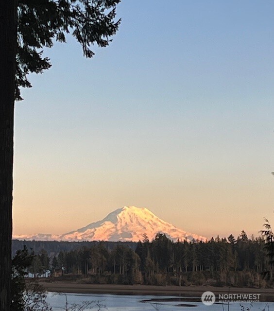 662 Stadium Beach Road East Grapeview, WA 98546 - Photo 29 of 35