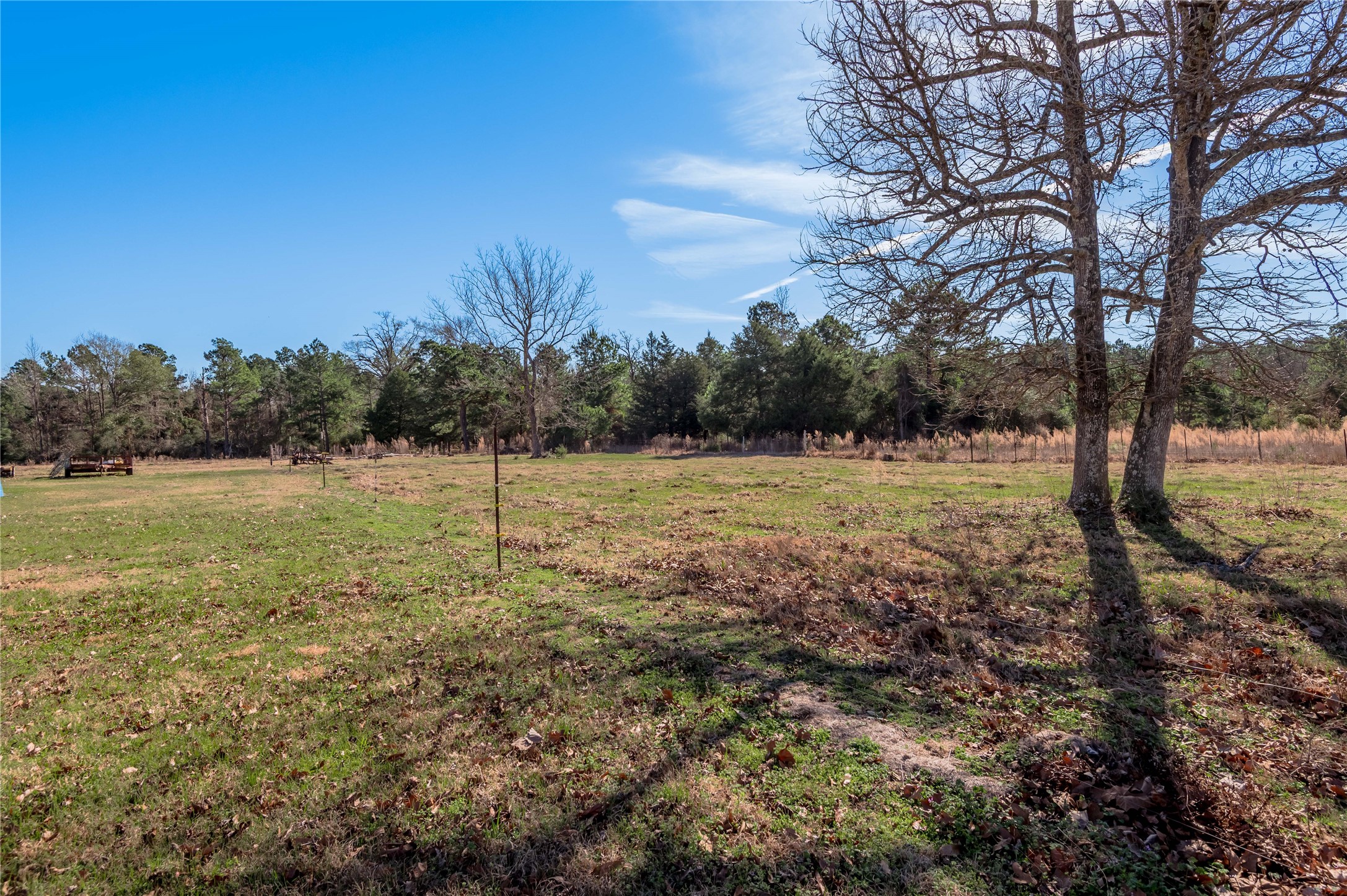 868 Rex Bailey Road Groveton, TX 75845 - Photo 22 of 26