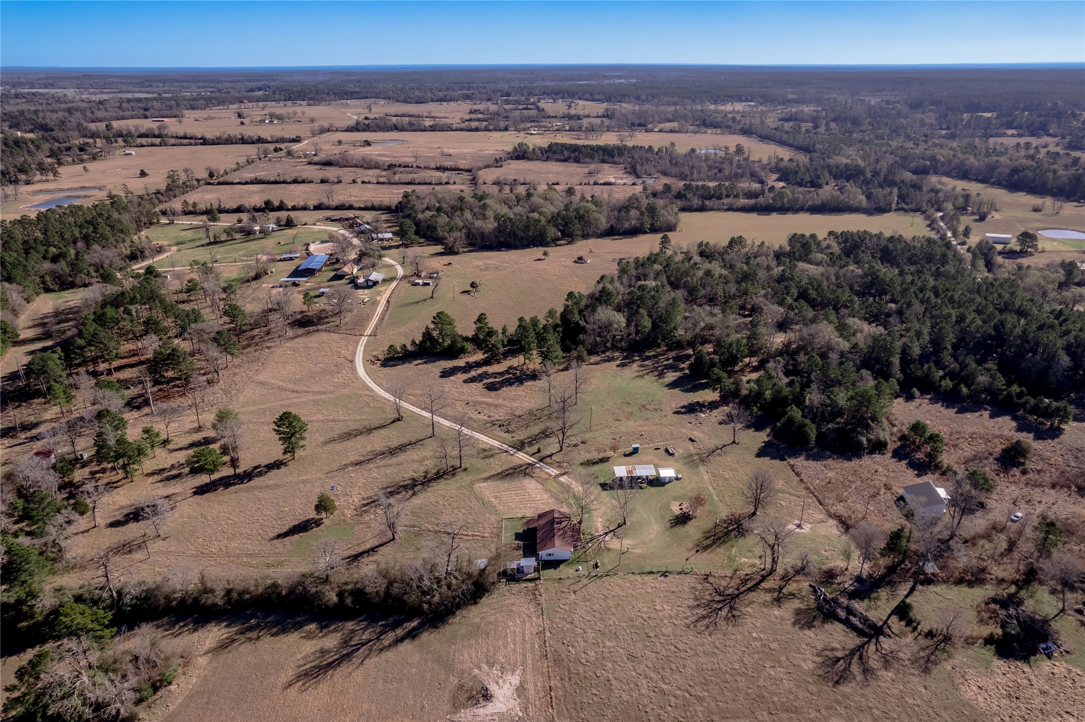 868 Rex Bailey Road Groveton, TX 75845 - Photo 25 of 26