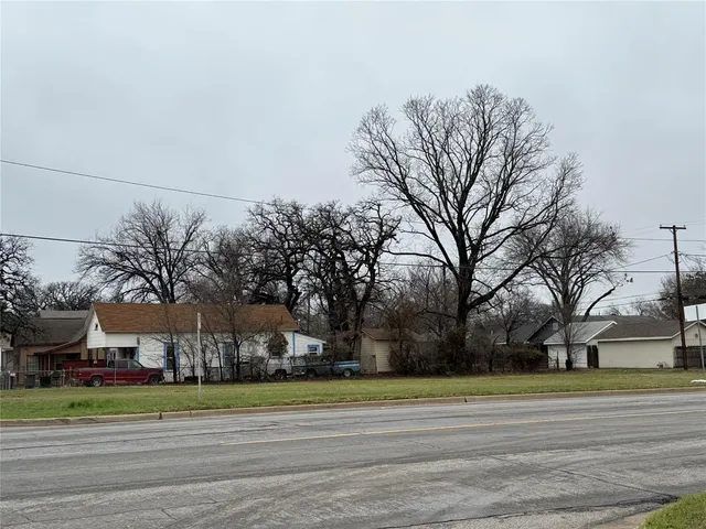 a road view with large trees