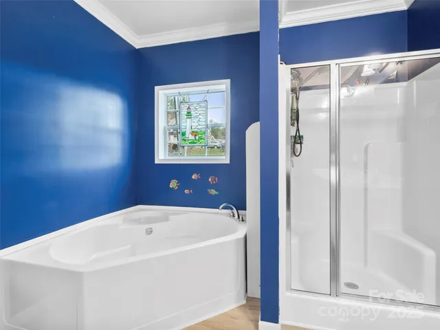 a bathroom with a bathtub and a shower