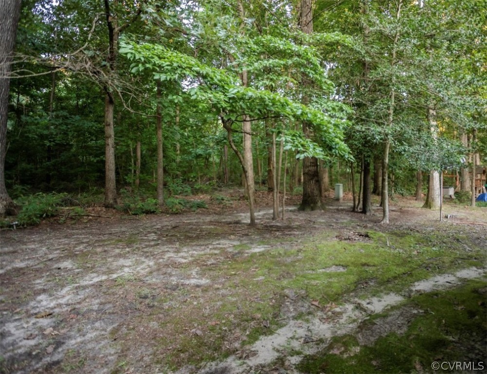 13809 Sandy Oak Road Chester, VA 23831 - Photo 36 of 37 a view of outdoor space with trees