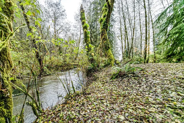 a backyard of a house with lots of green space