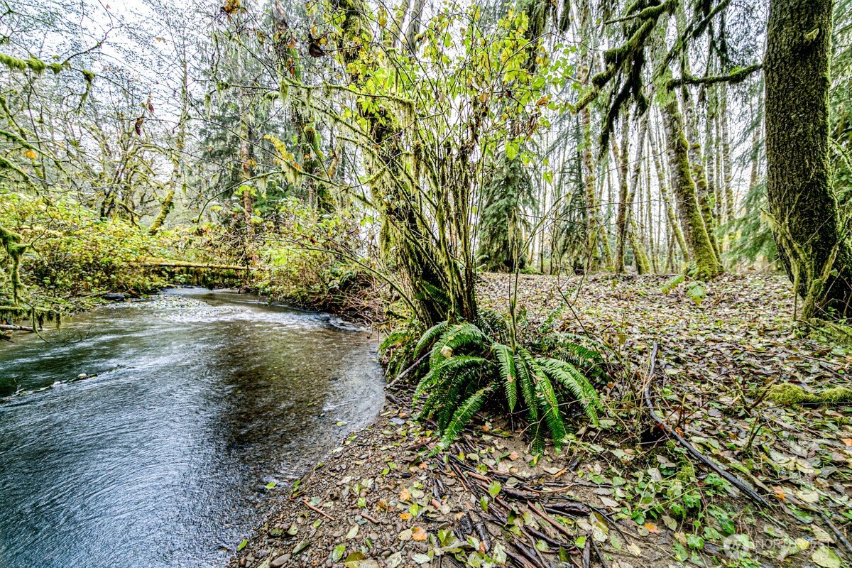 292 Sportsman Club Road Forks, WA 98331 - Photo 16 of 24 a view of a lake with a tree