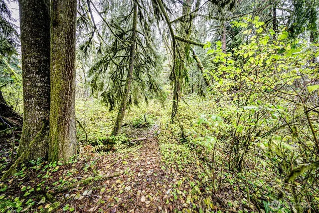 a backyard of a house with lots of green space