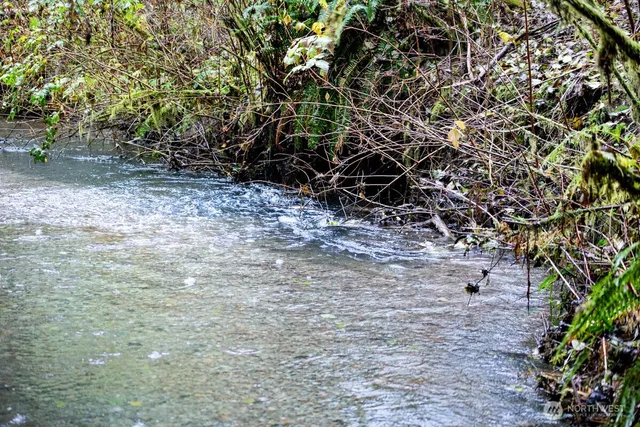 a backyard of a house