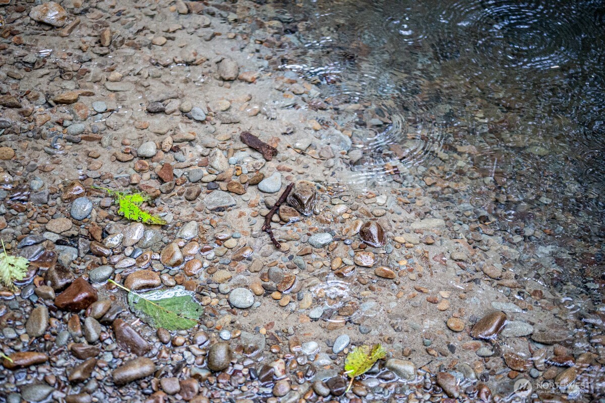 292 Sportsman Club Road Forks, WA 98331 - Photo 21 of 24 a picture of a tree