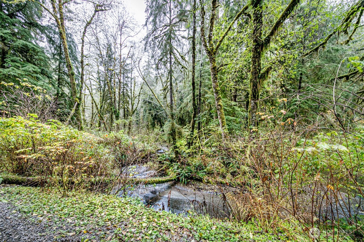 292 Sportsman Club Road Forks, WA 98331 - Photo 3 of 24 a backyard of a house with lots of green space and garden