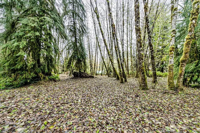 a view of outdoor space with garden