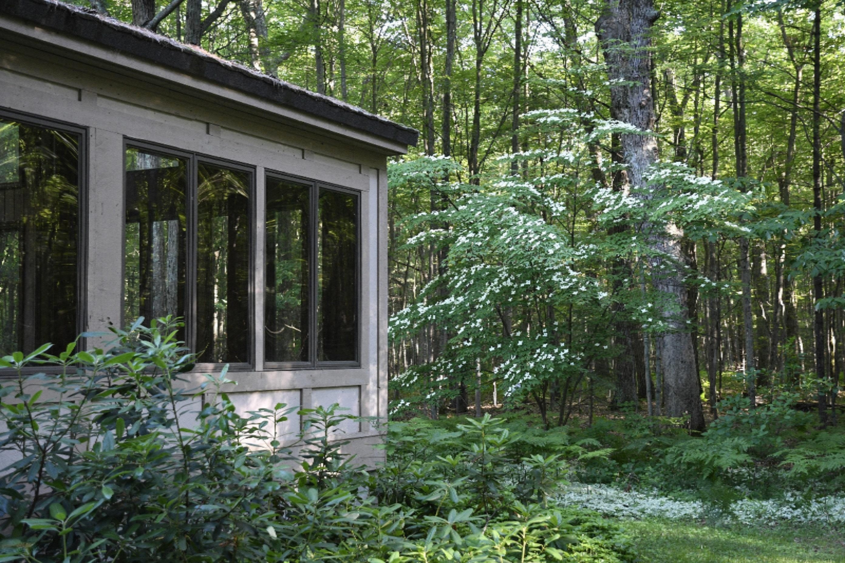 3195 Orshal Road Whitehall, MI 49461 - Photo 20 of 22 3195 orshal master outside back 2