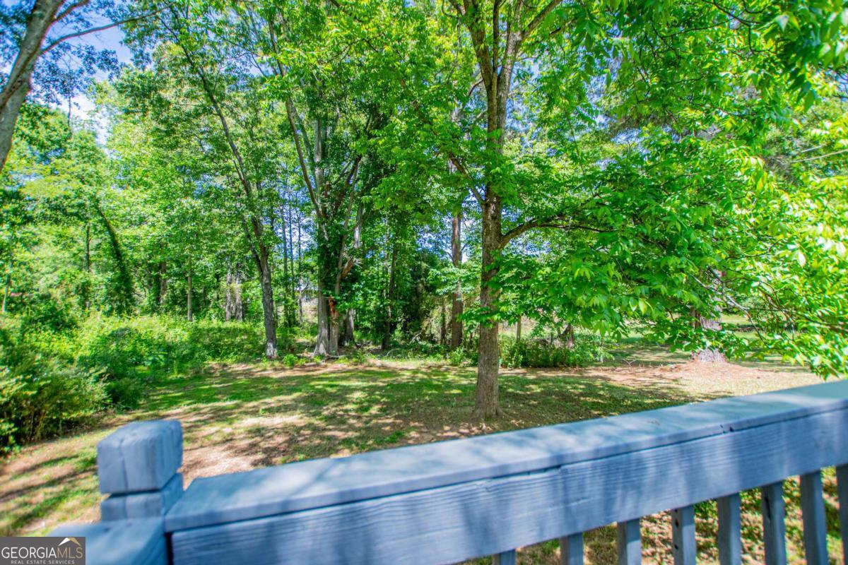 801 Bowdon Tyus Road Bowdon, GA 30108 - Photo 44 of 62