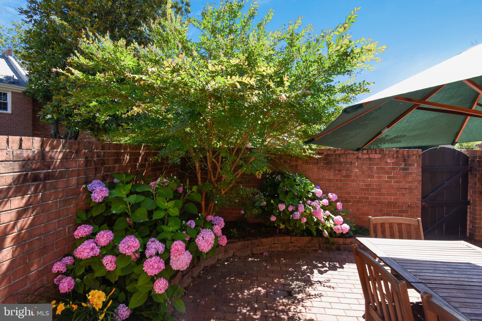 6030 Queenston Street Springfield, VA 22152 - Photo 34 of 49 Lush Landscaping