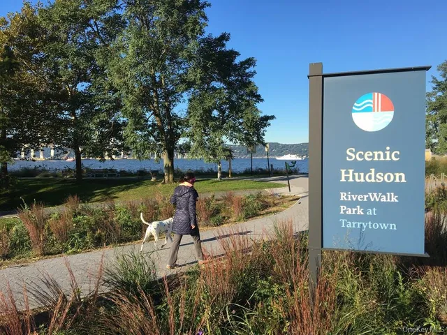 a view of a garden with a fountain