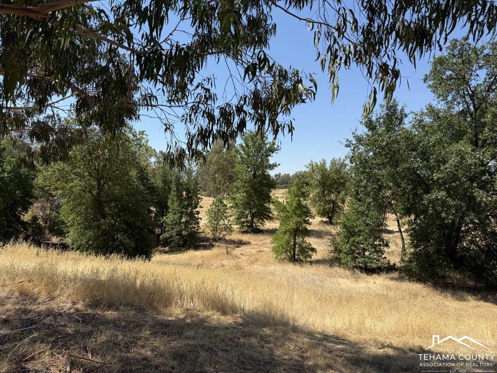 4471 Kopta Road Corning, CA 96021 - Photo 6 of 15