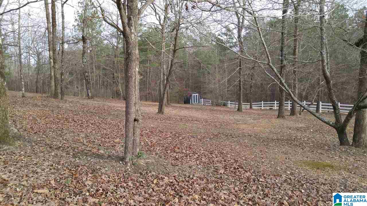 1828 Fleming Road Vincent, AL 35178 - Photo 6 of 21