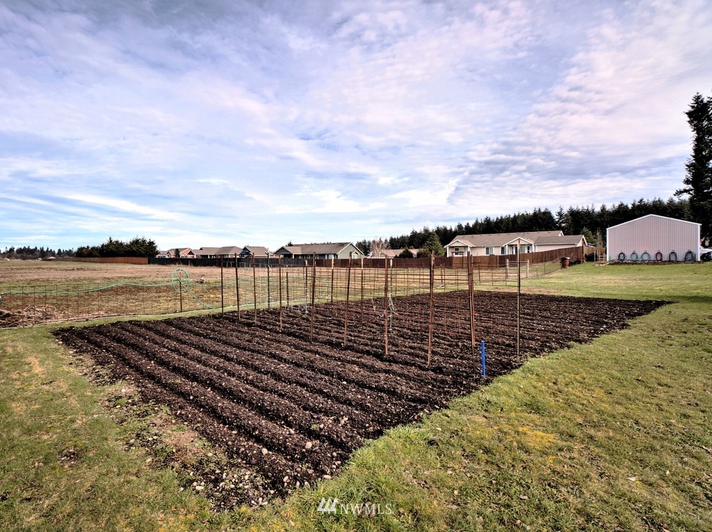 18231 Wild Violet Lane Southwest Rochester, WA 98579 - Photo 4 of 25