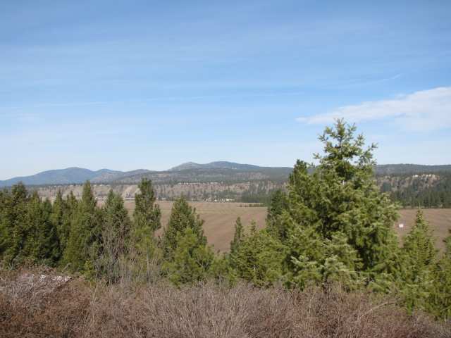 15414 West Bluegrass Road Nine Mile Falls, WA 99026 - Photo 8 of 9 Gallery Image 8
