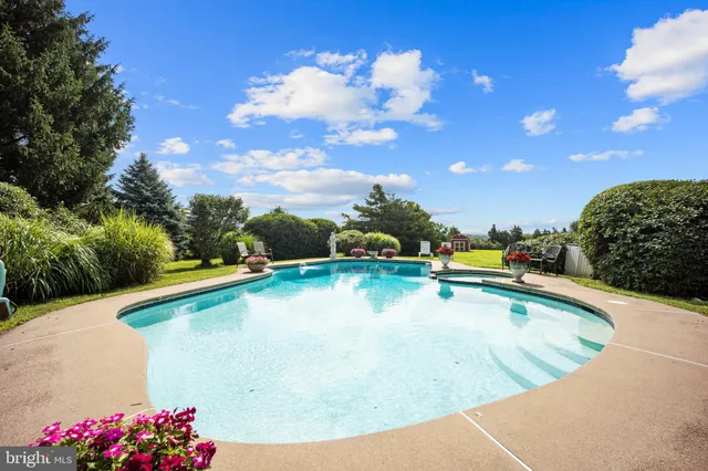 a view of a swimming pool with a yard and plants