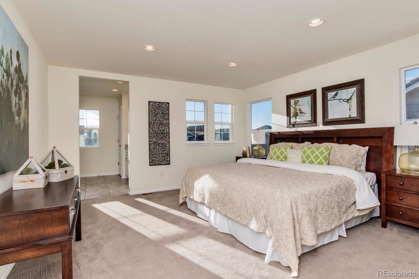 10936 Ashurst Lane Highlands Ranch, CO 80130 - Photo 7 of 24 Gallery Image 7