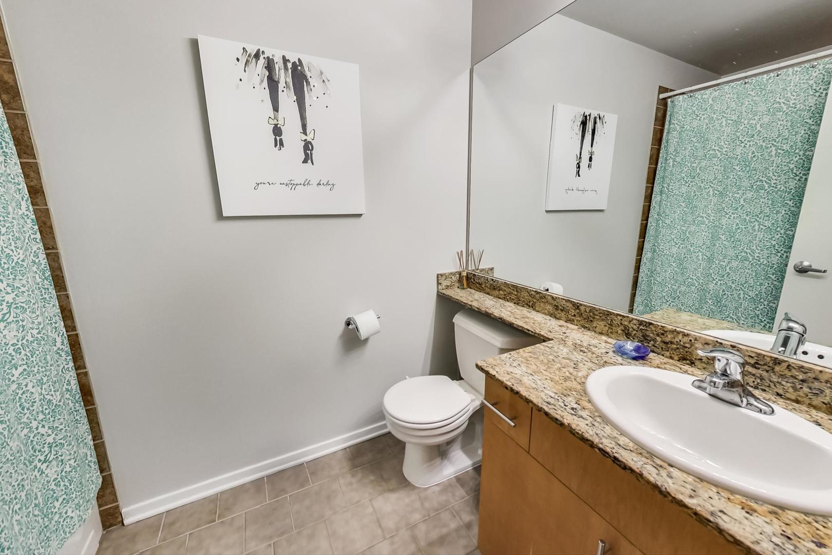1040 West Adams Street, Unit 220 Chicago, IL 60607 - Photo 12 of 27 a bathroom with a granite countertop sink a toilet and a mirror