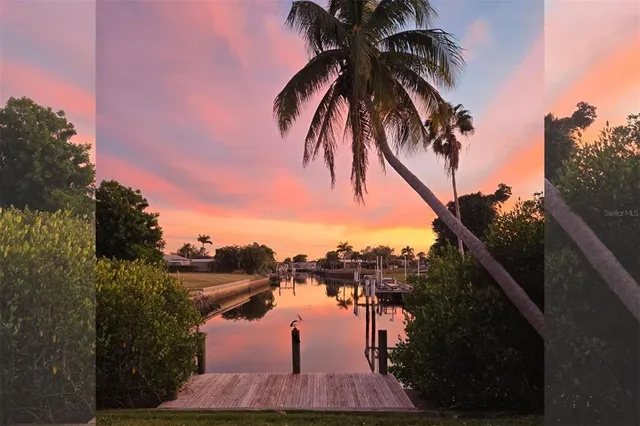 a lake view with palm trees