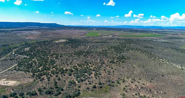 a view of a big yard of the house