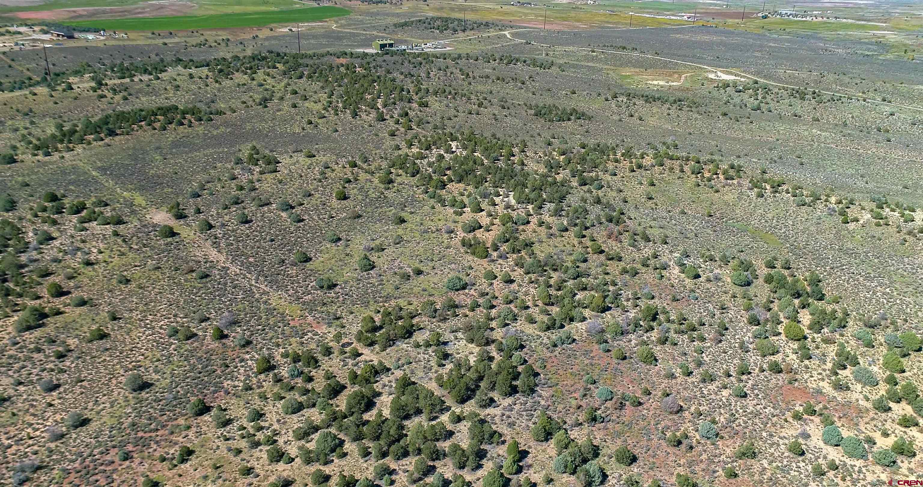 Tbd J Road Ignacio, CO 81137 - Photo 5 of 7 a view of a dry yard with wooden floor