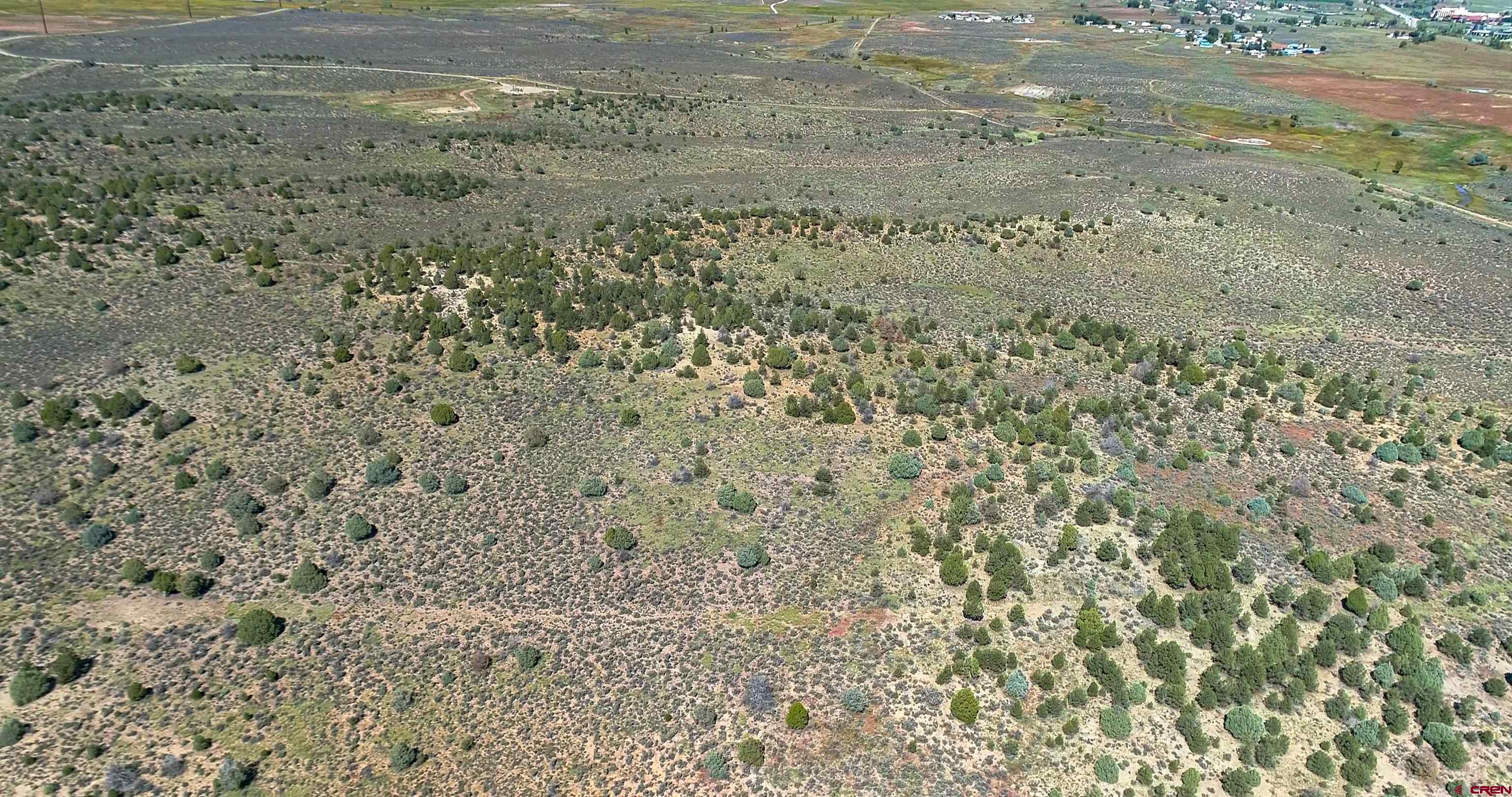 Tbd J Road Ignacio, CO 81137 - Photo 6 of 7 a view of a dry yard with plants and trees
