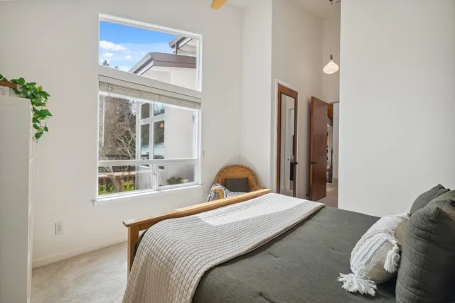 a living room with furniture potted plant and a table