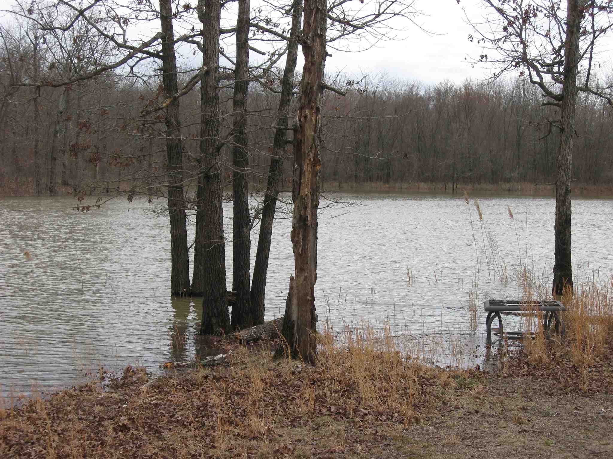 2360 Dog Walk Road Equality, IL 62934 - Photo 2 of 26 Gallery Image 2