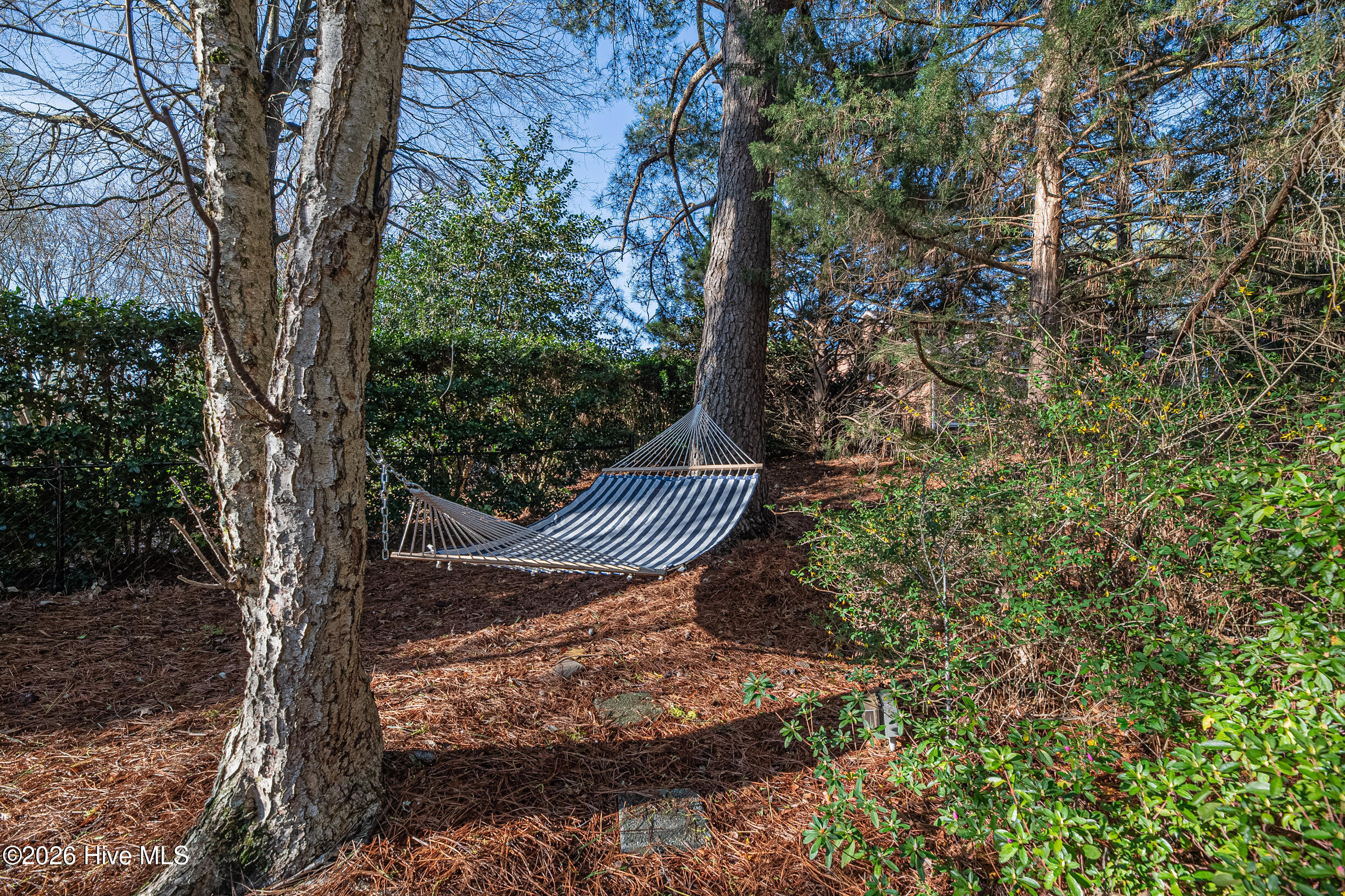 3404 Wyneston Road Greenville, NC 27858 - Photo 28 of 70 34