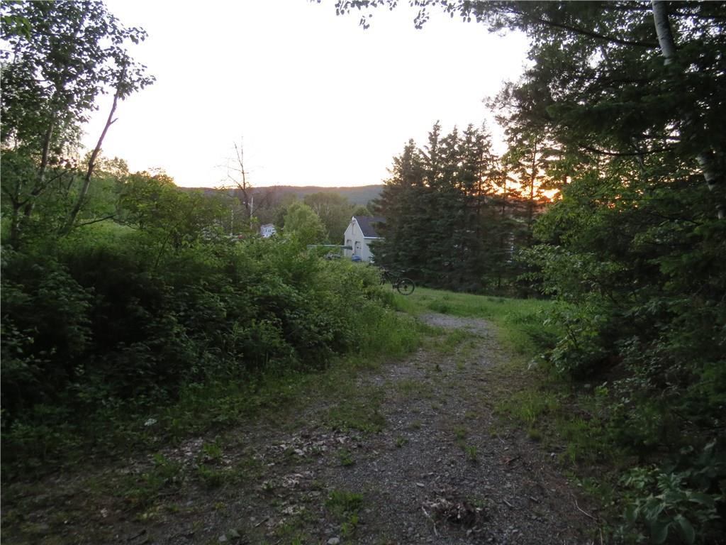 0 Autumn Street Fort Kent, ME 04743 - Photo 5 of 6 From the begining and center of the...