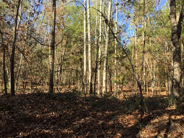 0 Club Circle Road Waynesboro, GA 30830 - Photo 2 of 6