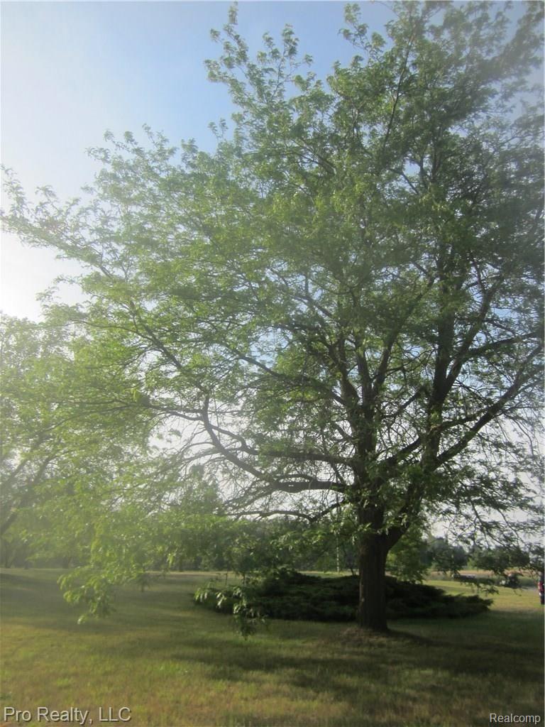 11935 Darling Road Milan, MI 48160 - Photo 14 of 51 IMG_4030.JPG