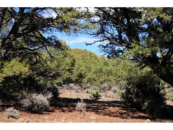 a view of a dry field