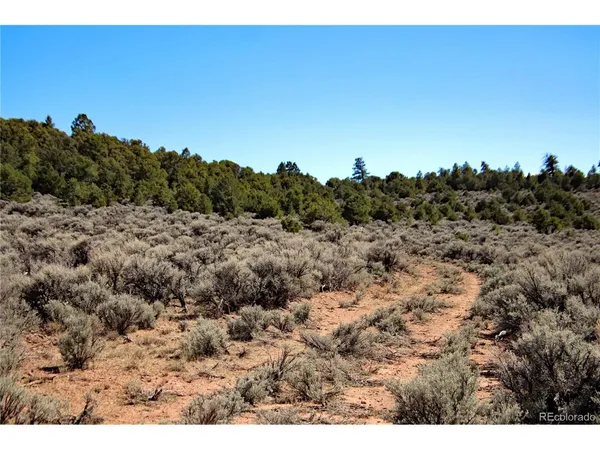a view of a dry field
