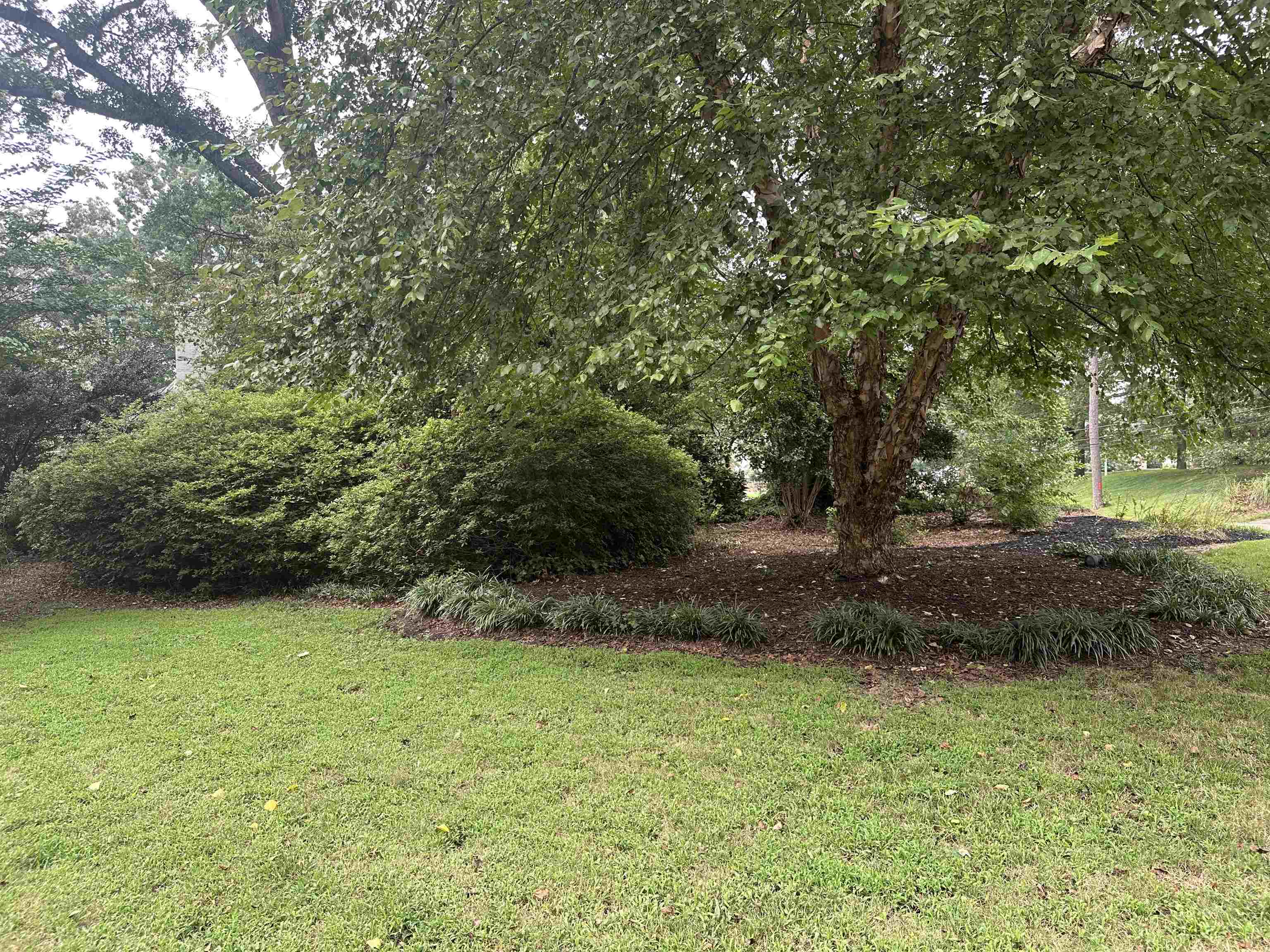 606 South Limestone Street Gaffney, SC 29340 - Photo 17 of 38