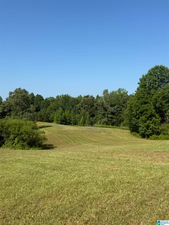 $111,250 | 0 County Road 450, Fruithurst, AL 36262