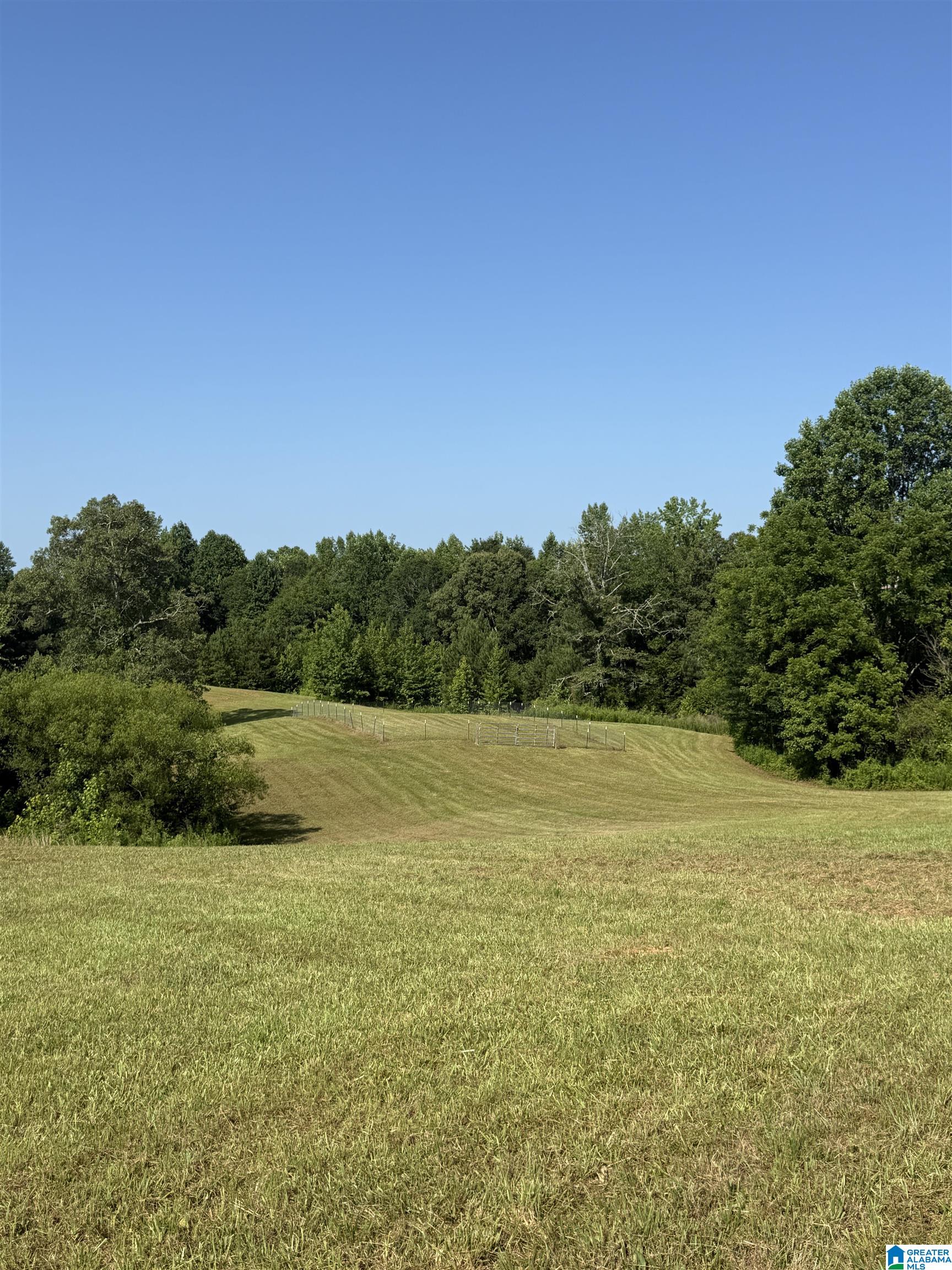 0 County Road 450 Fruithurst, AL 36262 - Photo 1 of 13