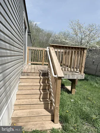 a view of a backyard with plants and large tree