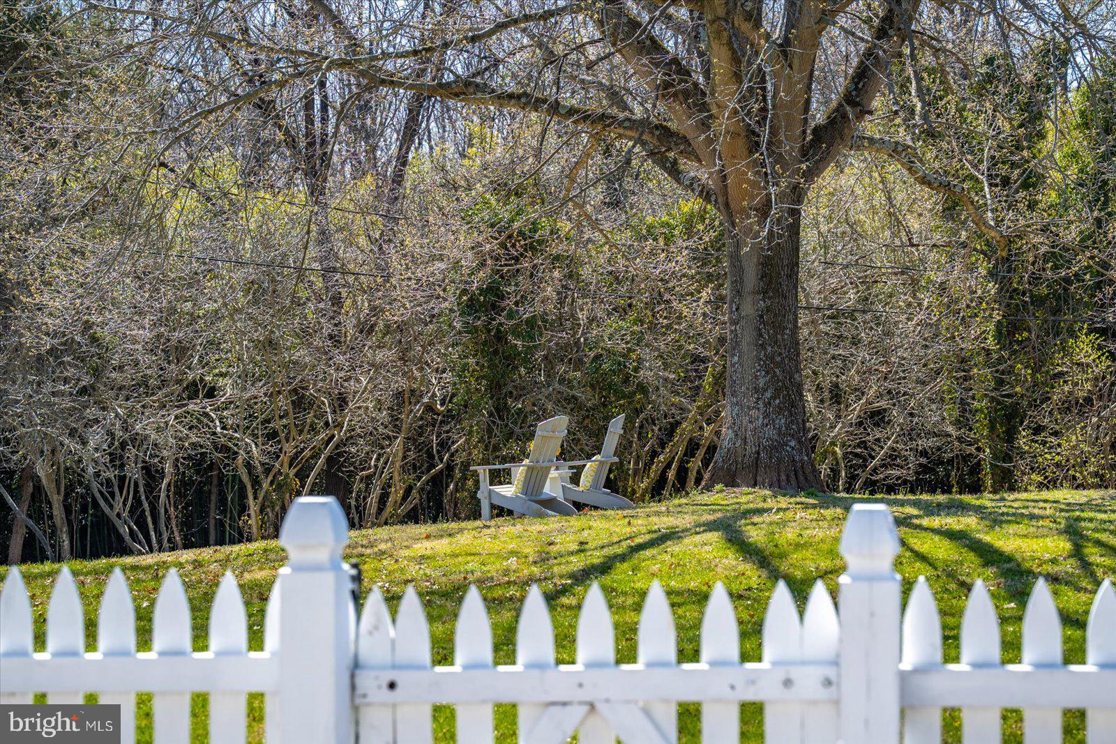 1118 Gum Bottom Road Crownsville, MD 21032 - Photo 39 of 51 Tranquil retreat under the trees.
