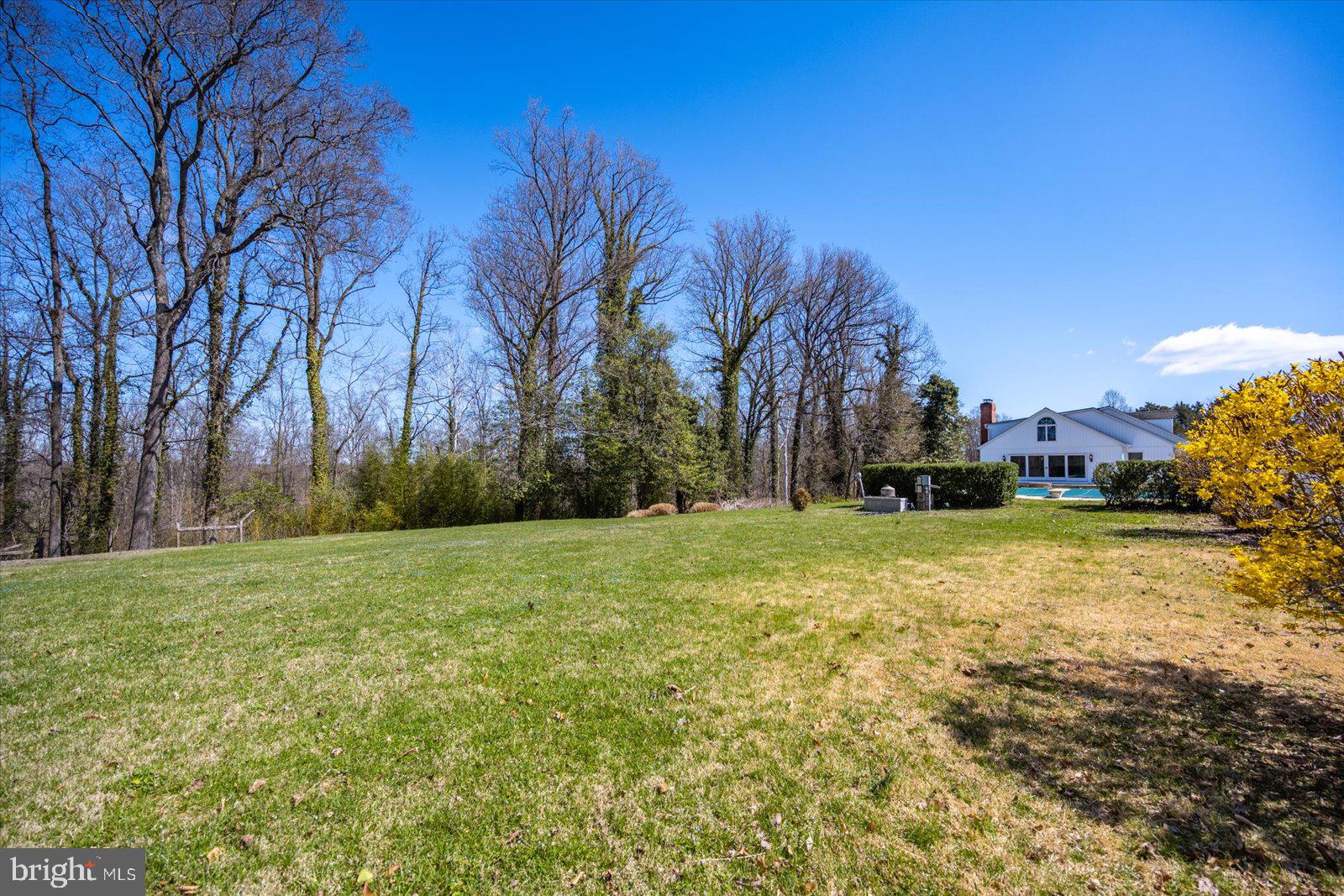 1118 Gum Bottom Road Crownsville, MD 21032 - Photo 42 of 51 Spacious lawn embraced by nature.