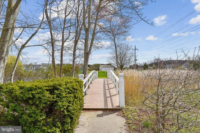 a view of yard with tree