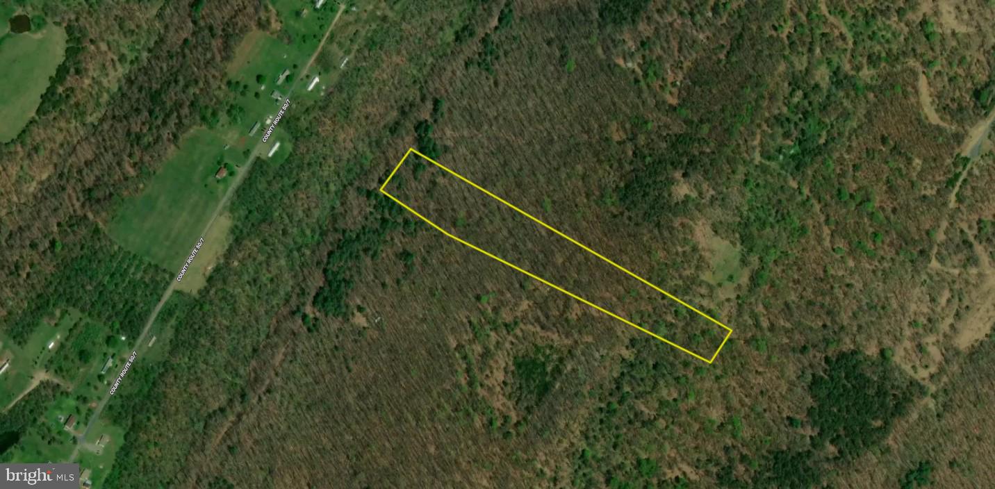 Lot 67 Mill Mountain Road Romney, WV 26757 - Photo 38 of 40